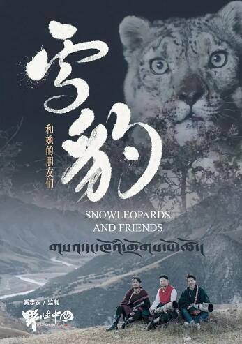 雪豹和她的朋友们剧照