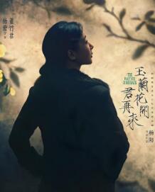 玉兰花开君再来剧照